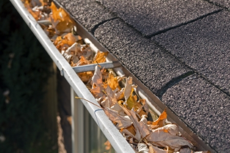 Fall Gutter Cleaning: Why It's Essential for Your Home Thumbnail